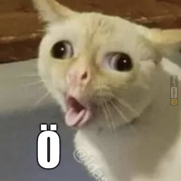 Śmieszny mem: 0656641 - MemLand