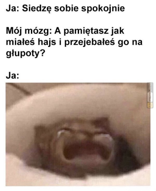 Śmieszny mem: 0663137 - MemLand