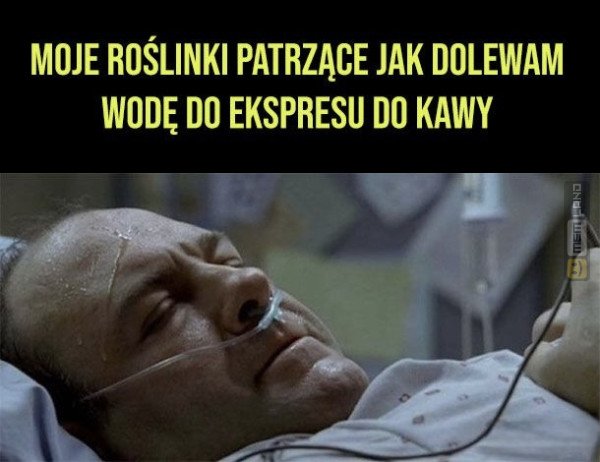 Śmieszny mem: 0671767 - MemLand