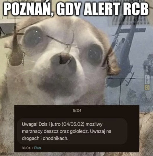 Śmieszny mem: 0679271 - MemLand