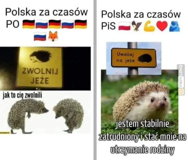 Śmieszny mem: 0695468 - MemLand