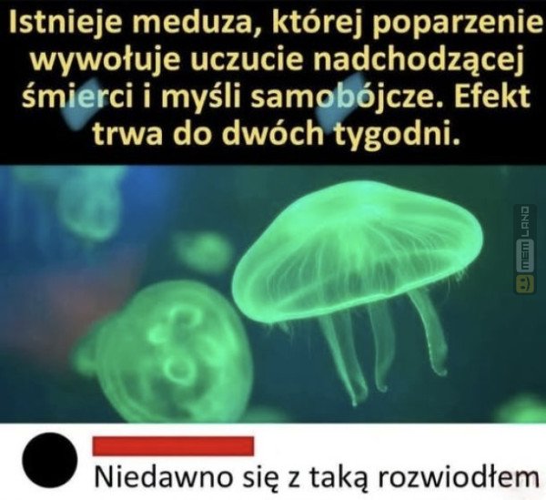 Śmieszny mem: 0695605 - MemLand