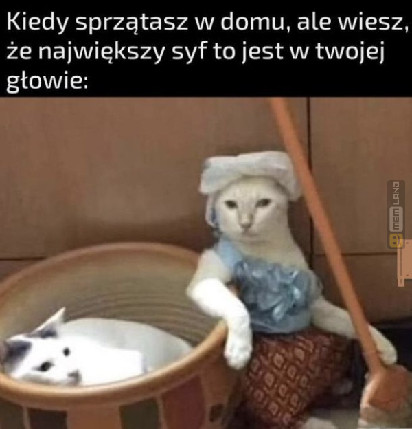 Śmieszny mem: 0703362 - MemLand