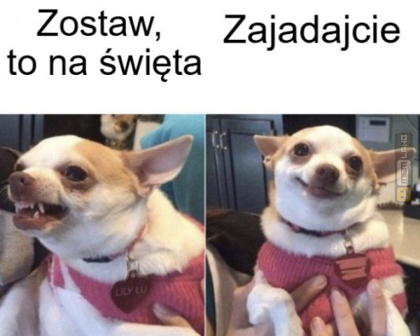 Śmieszny mem: 0705496 - MemLand