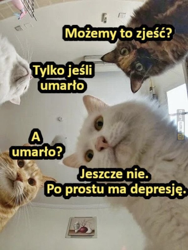 Śmieszny mem: 0714635 - MemLand