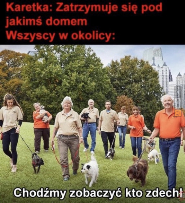 Śmieszny mem: 0716100 - MemLand