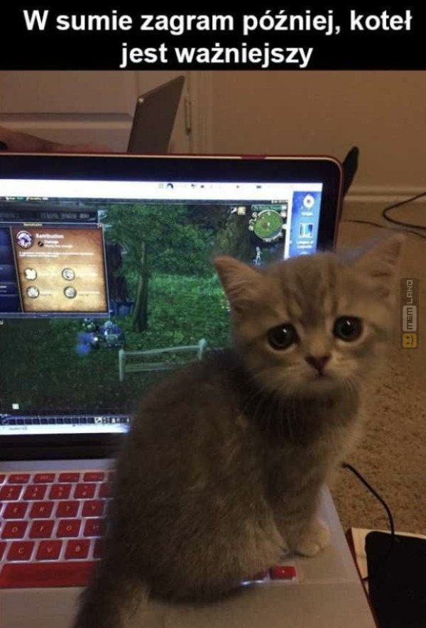 Śmieszny mem: 0717359 - MemLand