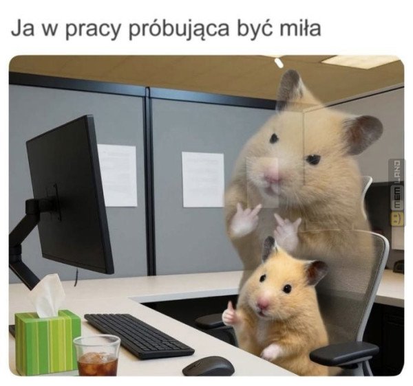 Śmieszny mem: 0719686 - MemLand