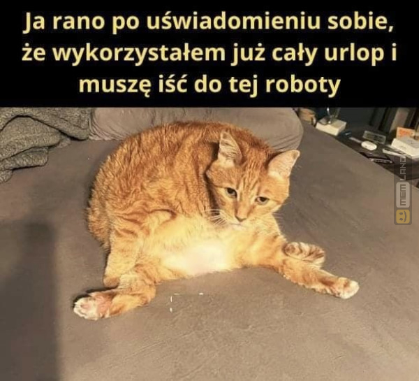 Śmieszny mem: 0733964 - MemLand