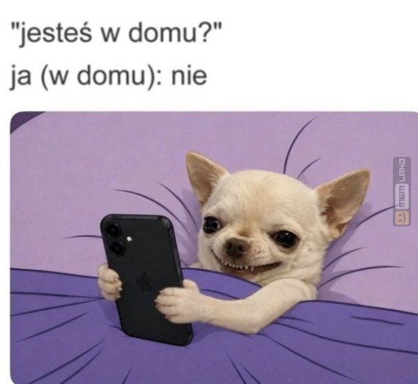 Śmieszny mem: 0734223 - MemLand