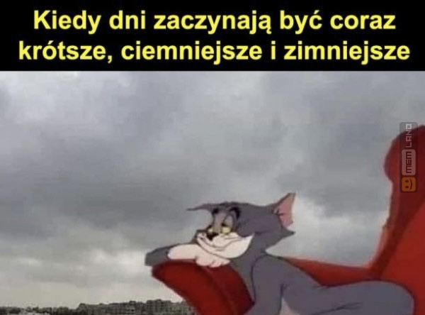Śmieszny mem: 0735986 - MemLand