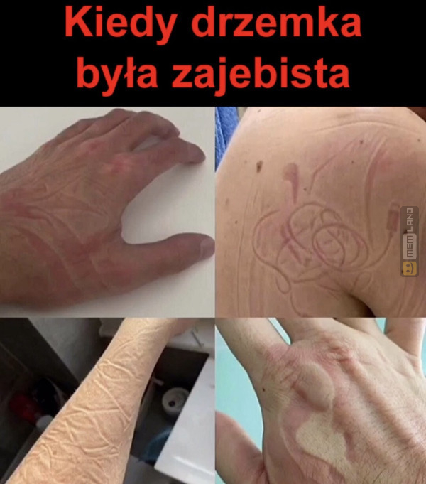 Śmieszny mem: 0737945 - MemLand