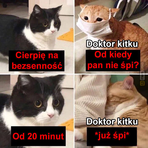 Śmieszny mem: 0737991 - MemLand