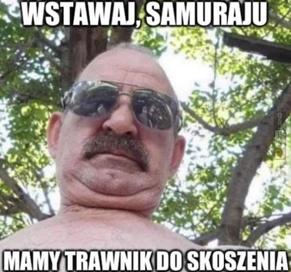 Śmieszny mem: 0739061 - MemLand