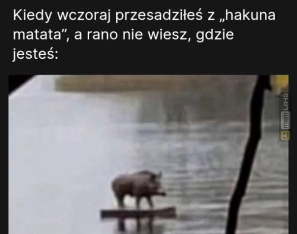 Śmieszny mem: 0740786 - MemLand