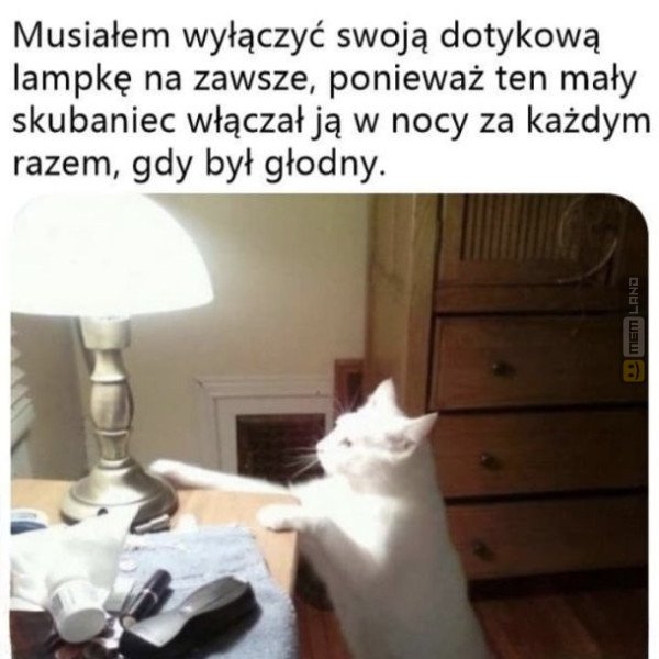 Śmieszny mem: 0754434 - MemLand