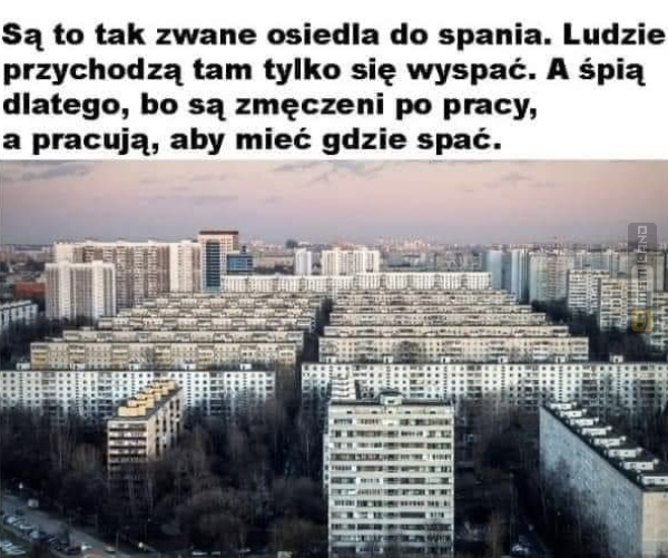 Śmieszny mem: 0755177 - MemLand