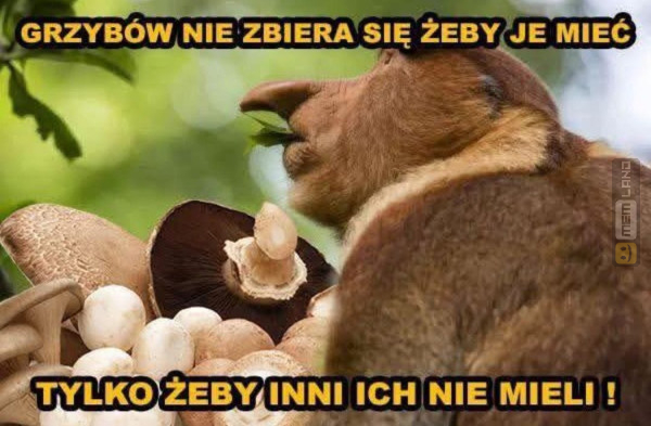 Śmieszny mem: 0756142 - MemLand