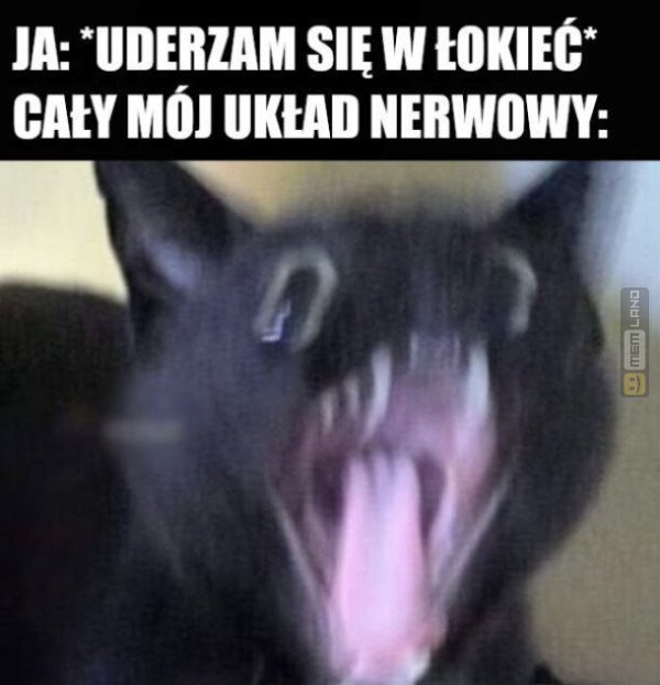 Śmieszny mem: 0757474 - MemLand