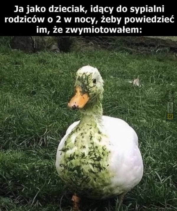 Śmieszny mem: 0758035 - MemLand
