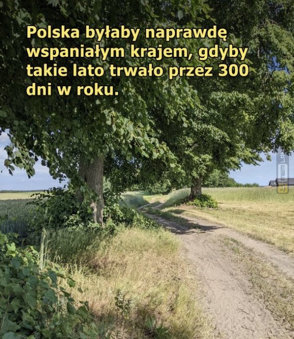 Śmieszny mem: 0759930 - MemLand