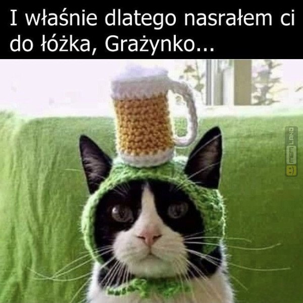 Śmieszny mem: 0763054 - MemLand
