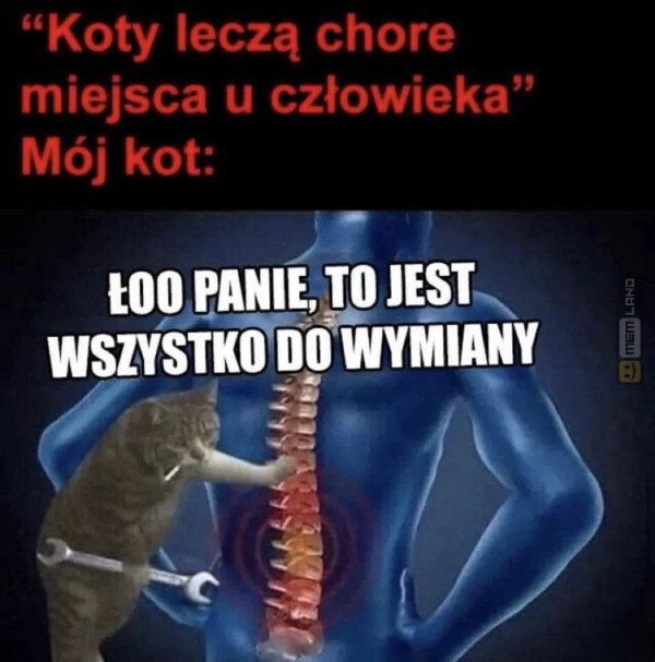 Śmieszny mem: 0774974 - MemLand
