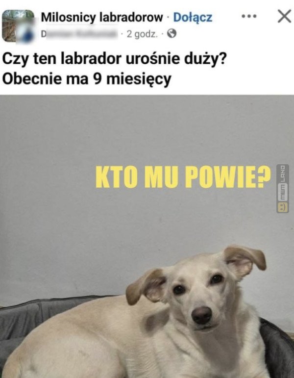 Śmieszny mem: 0781367 - MemLand