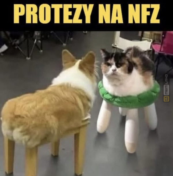 Śmieszny mem: 0788144 - MemLand