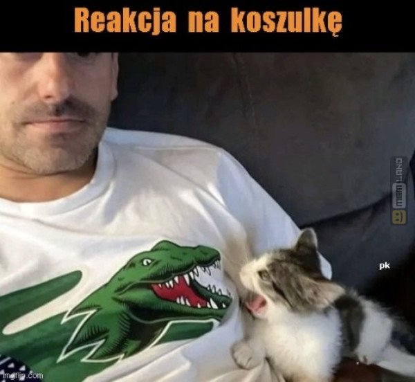Śmieszny mem: 0796677 - MemLand