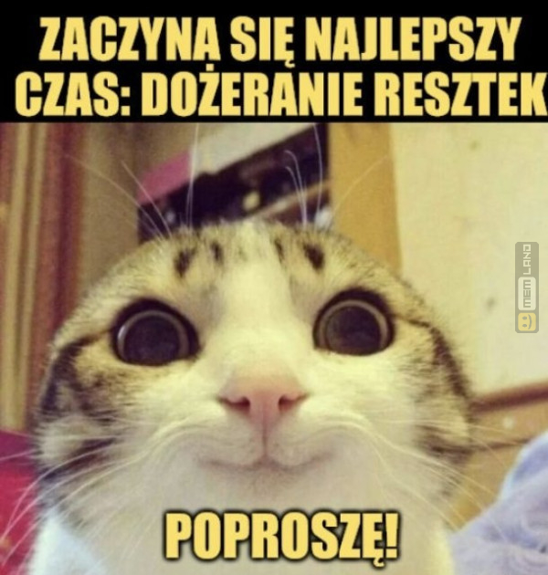 Śmieszny mem: 0801679 - MemLand