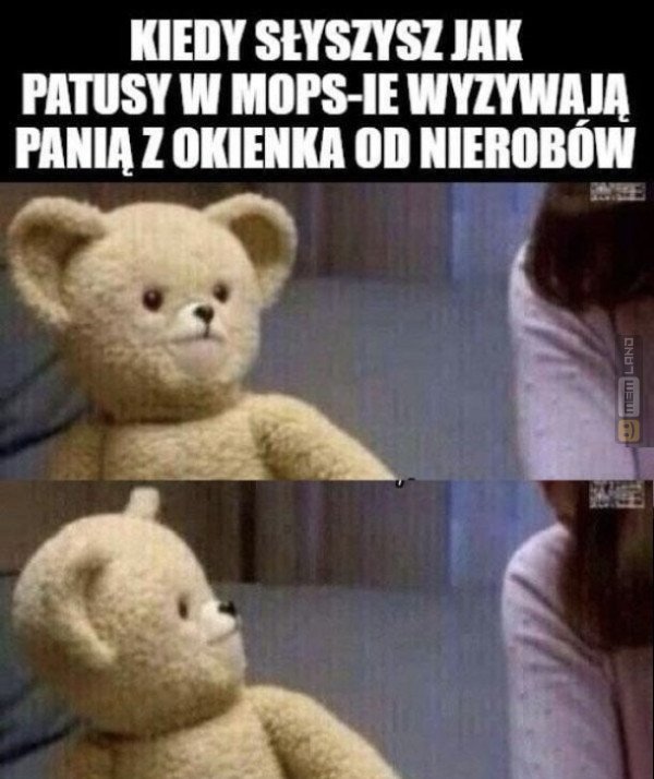 Śmieszny mem: 0805993 - MemLand