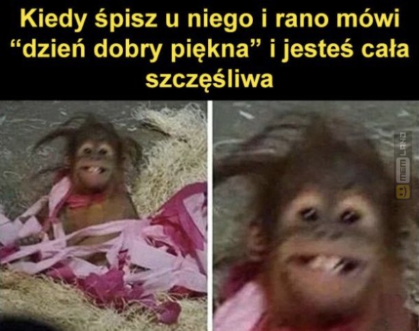 Śmieszny mem: 0807464 - MemLand