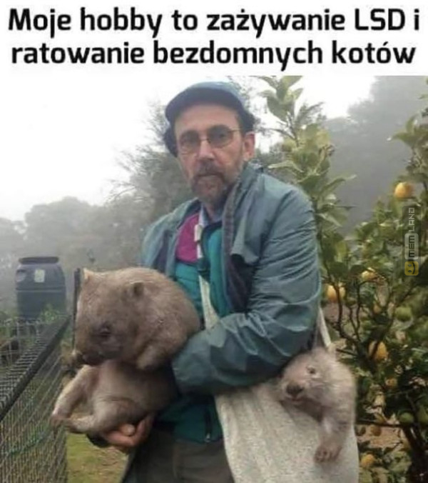 Śmieszny mem: 0807657 - MemLand
