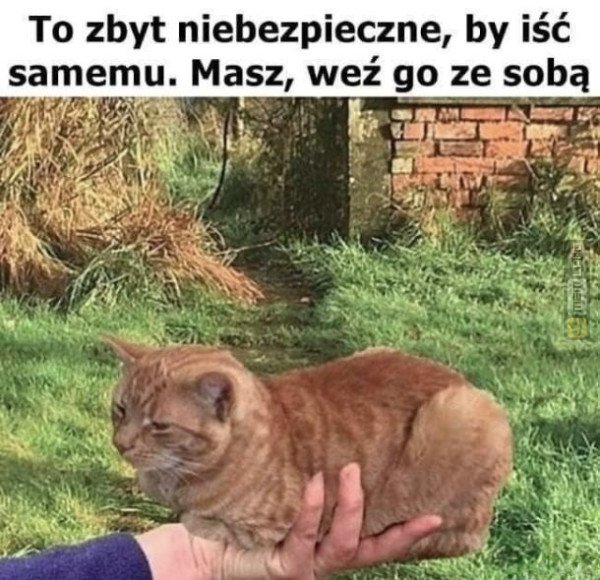 Śmieszny mem: 0809285 - MemLand