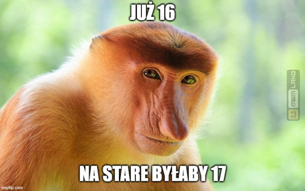 Śmieszny mem: 0817573 - MemLand