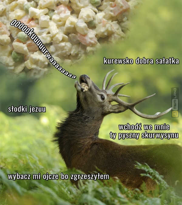 Śmieszny mem: 0829197 - MemLand