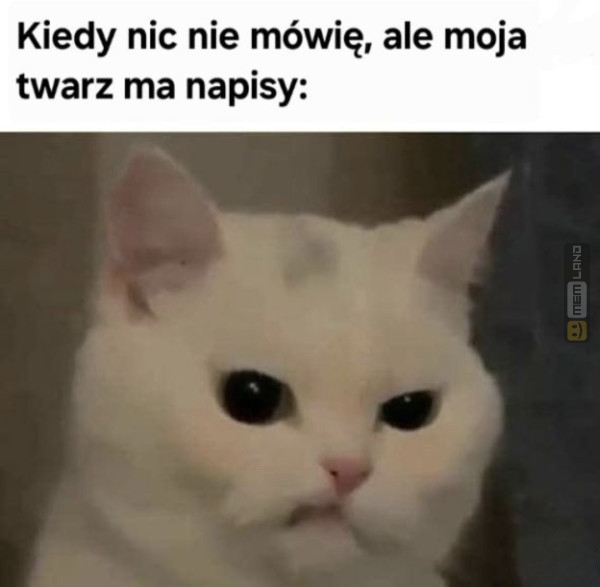 Śmieszny mem: 0832067 - MemLand