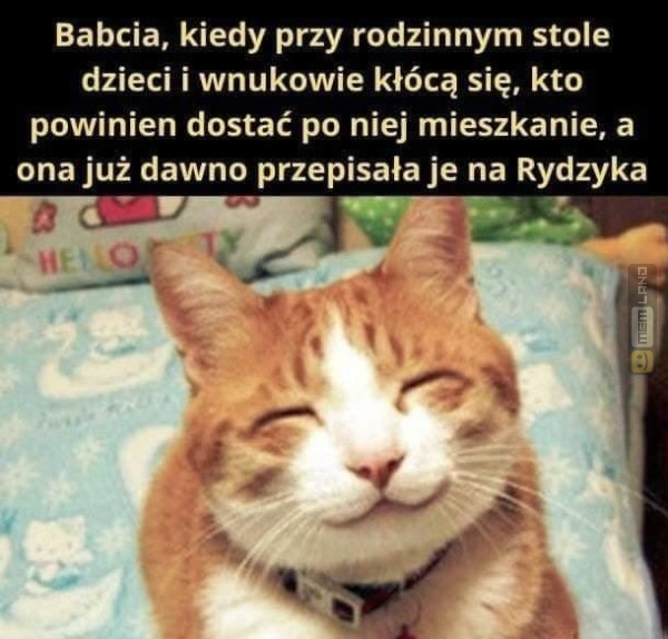 Śmieszny mem: 0834471 - MemLand