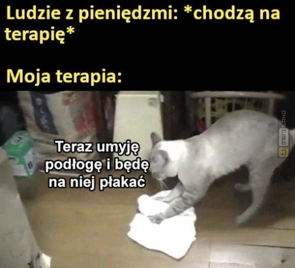 Śmieszny mem: 0835576 - MemLand