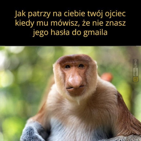 Śmieszny mem: 0846280 - MemLand