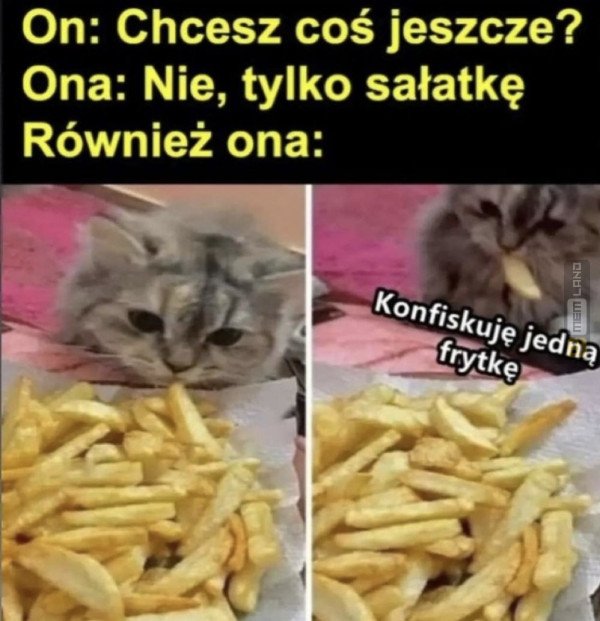 Śmieszny mem: 0861294 - MemLand
