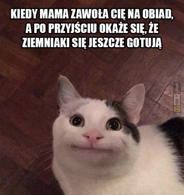 Śmieszny mem: 0871398 - MemLand