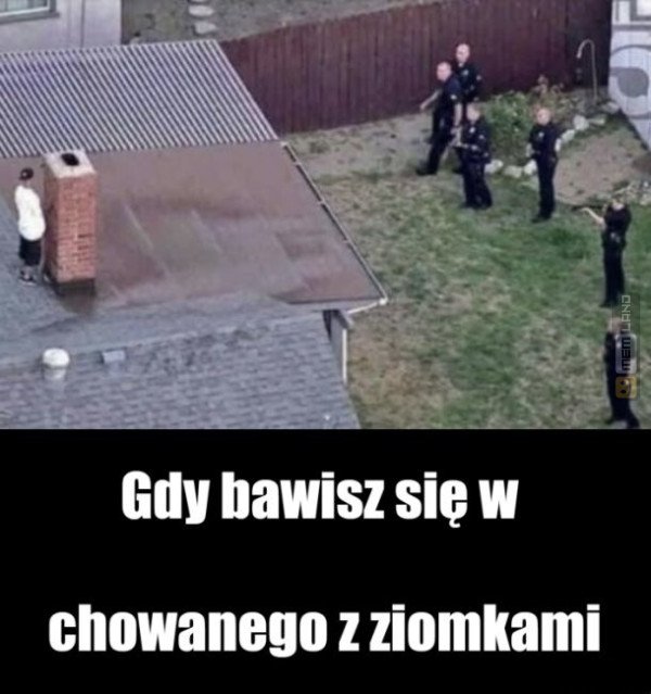 Śmieszny mem: 0871687 - MemLand