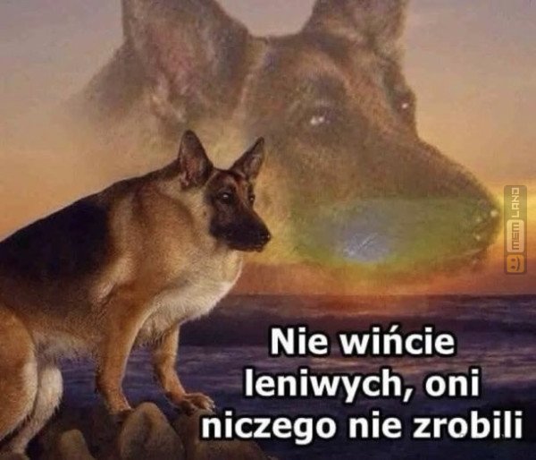 Śmieszny mem: 0880479 - MemLand
