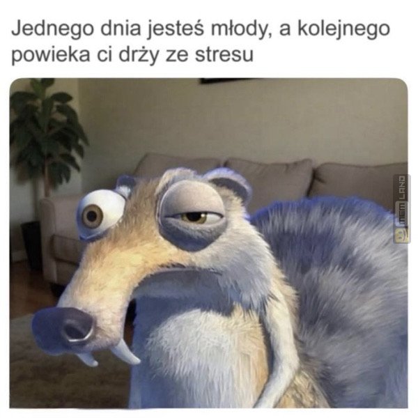 Śmieszny mem: 0881788 - MemLand