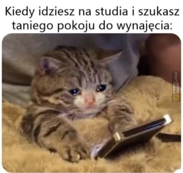 Śmieszny mem: 0883634 - MemLand