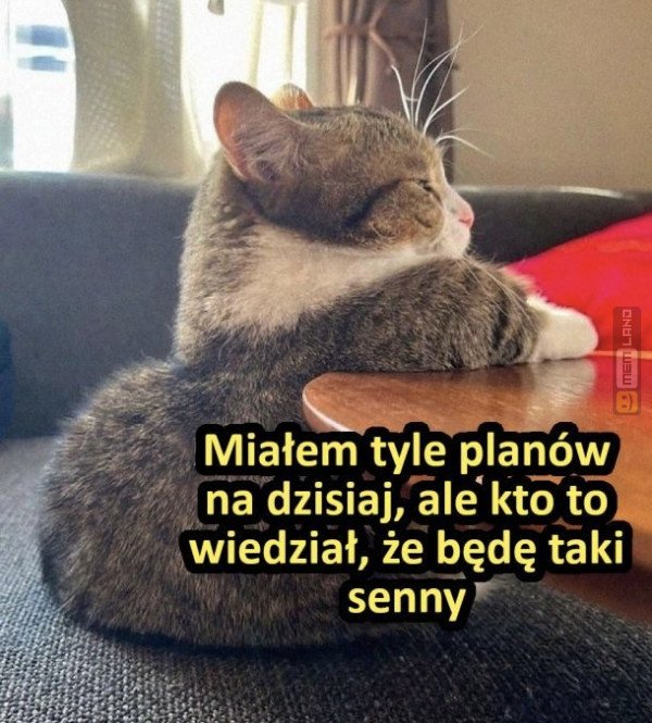 Śmieszny mem: 0886877 - MemLand