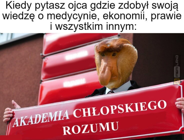 Śmieszny mem: 0889330 - MemLand