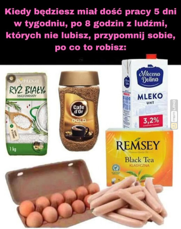Śmieszny mem: 0890555 - MemLand